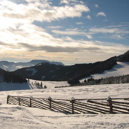 Heidi'S Schlummerkiste Am Fuss Der Teichalm Breitenau am Hochlantsch Eksteriør bilde