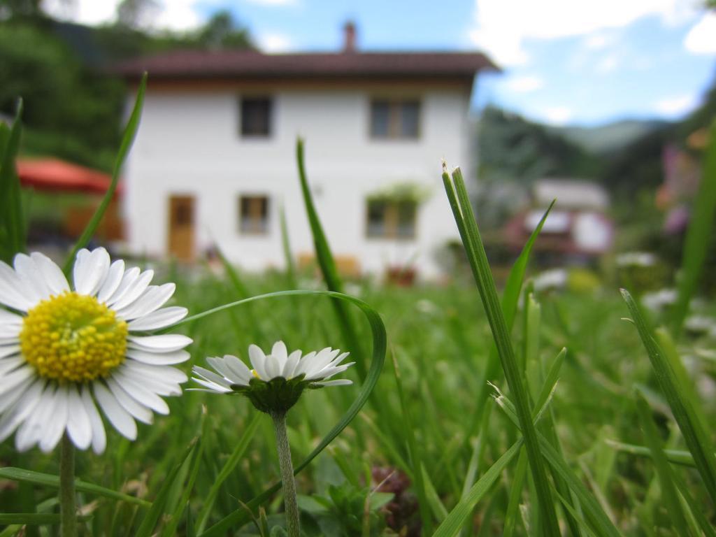 Heidi'S Schlummerkiste Am Fuss Der Teichalm Breitenau am Hochlantsch Eksteriør bilde