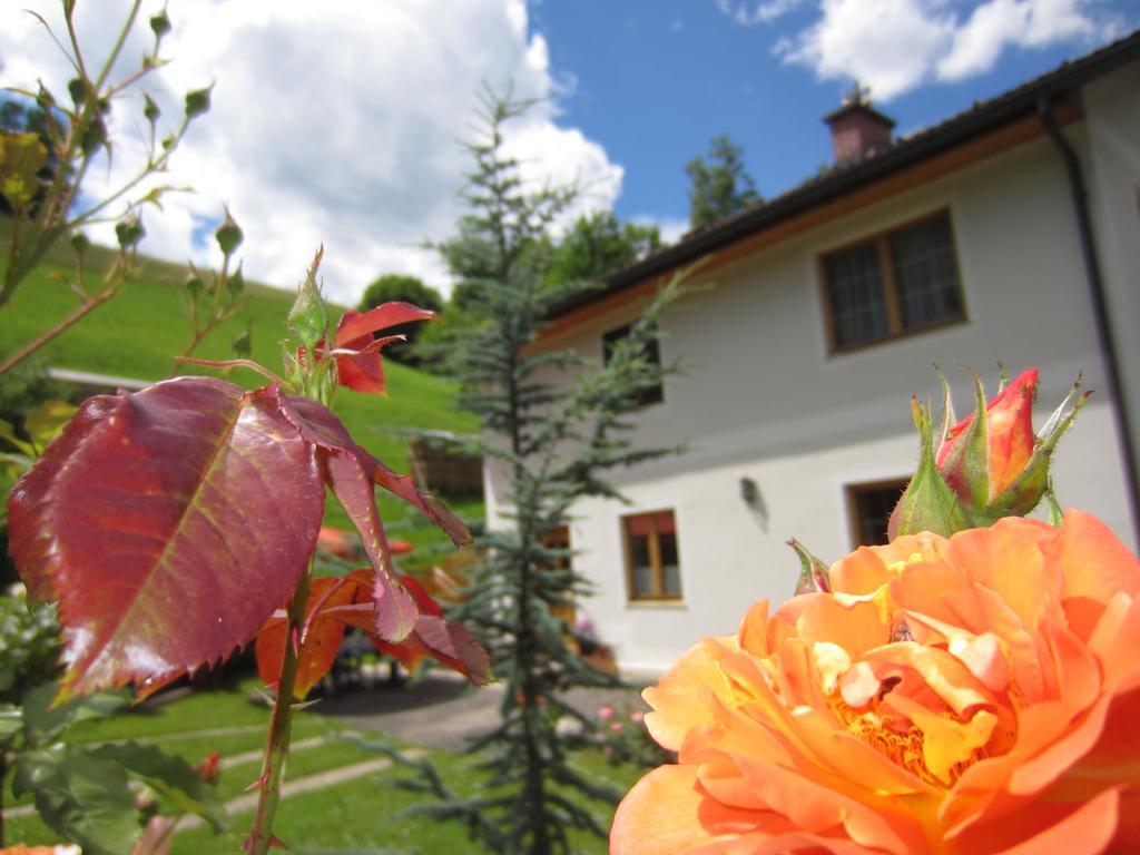 Heidi'S Schlummerkiste Am Fuss Der Teichalm Breitenau am Hochlantsch Eksteriør bilde