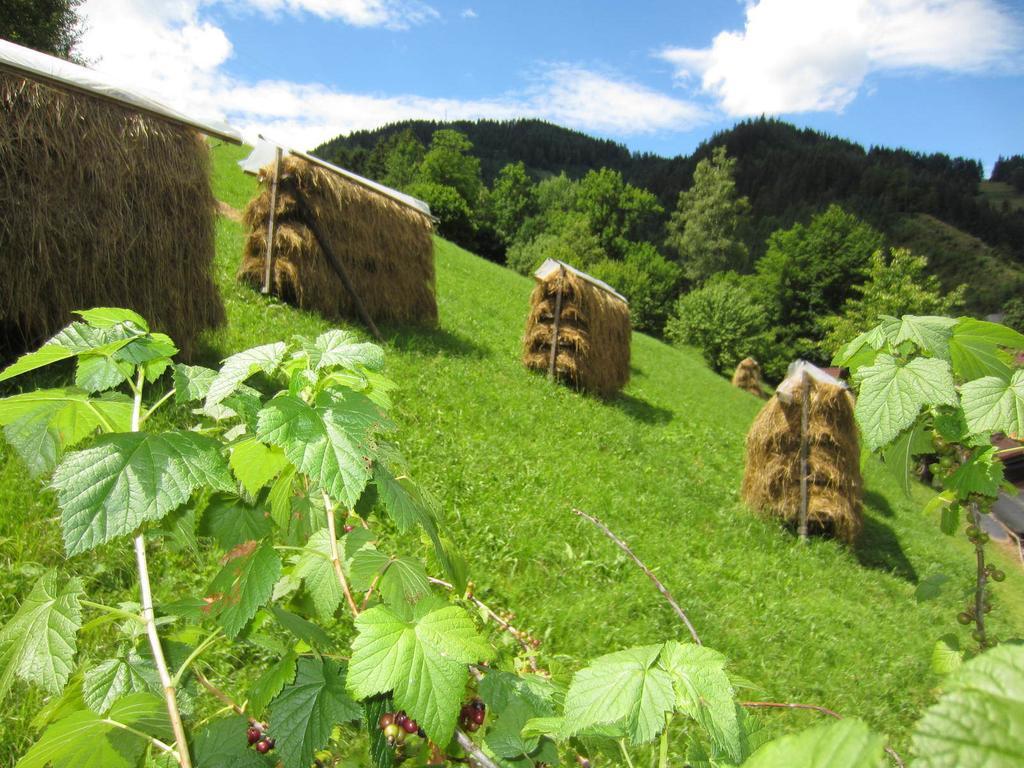 Heidi'S Schlummerkiste Am Fuss Der Teichalm Breitenau am Hochlantsch Eksteriør bilde