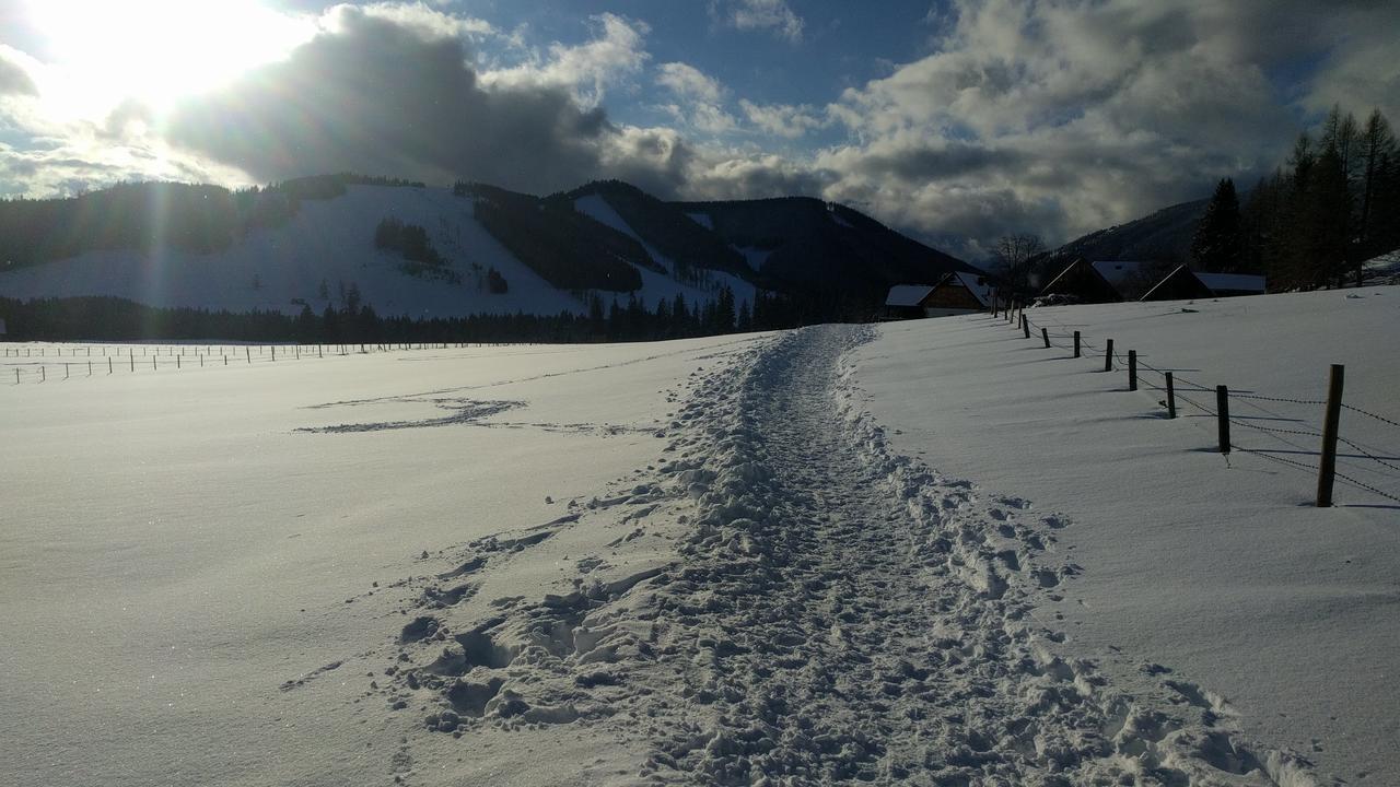 Heidi'S Schlummerkiste Am Fuss Der Teichalm Breitenau am Hochlantsch Eksteriør bilde