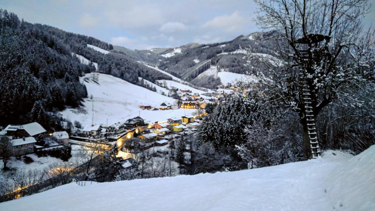 Heidi'S Schlummerkiste Am Fuss Der Teichalm Breitenau am Hochlantsch Eksteriør bilde